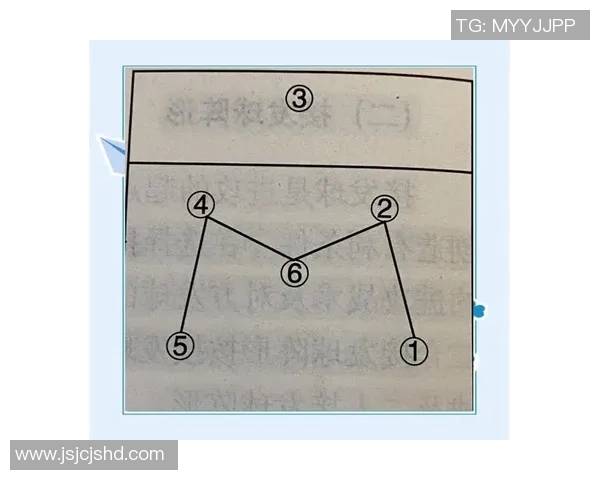 广州排球队灵活性对比分析揭示战术优势与发展潜力